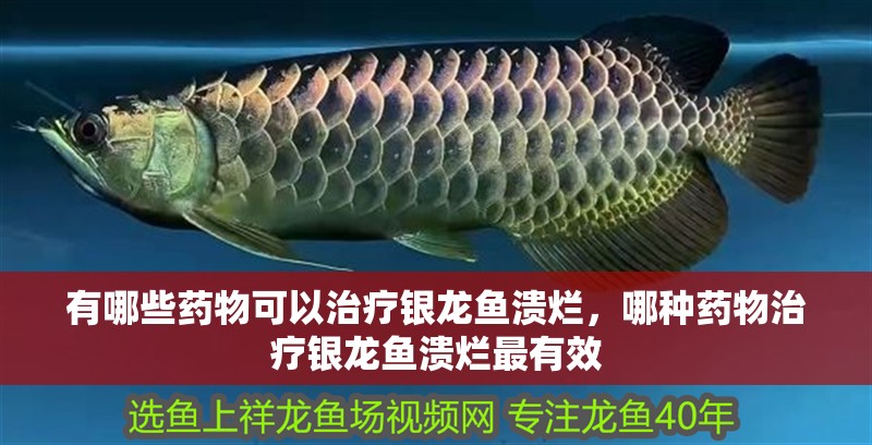 有哪些藥物可以治療銀龍魚潰爛，哪種藥物治療銀龍魚潰爛最有效