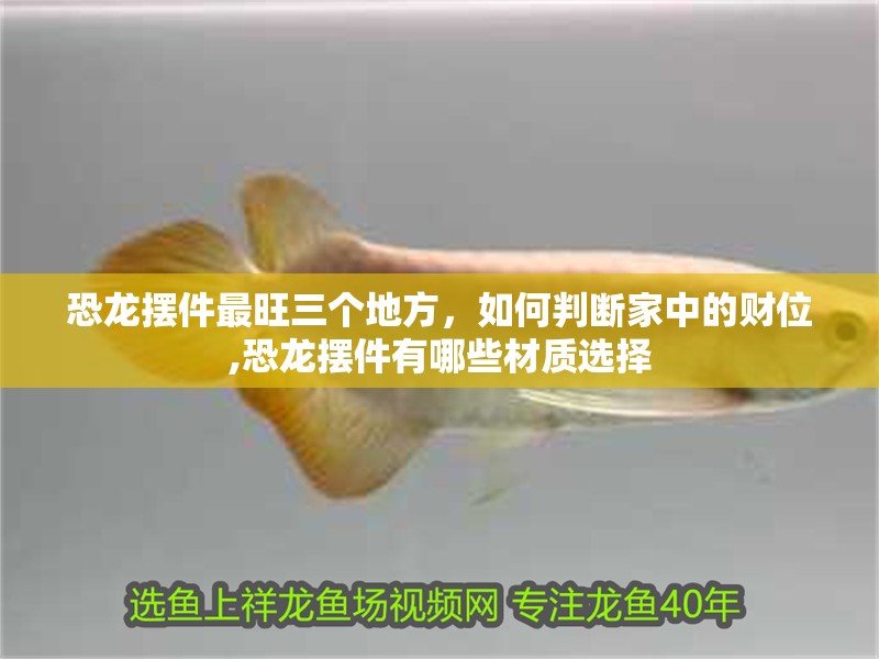 恐龍擺件最旺三個地方，如何判斷家中的財位,恐龍擺件有哪些材質選擇