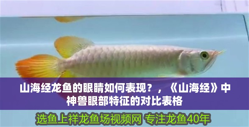 山海經龍魚的眼睛如何表現？，《山海經》中神獸眼部特征的對比表格
