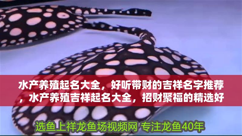 水產(chǎn)養(yǎng)殖起名大全，好聽?zhēng)ж?cái)?shù)募槊滞扑]，水產(chǎn)養(yǎng)殖吉祥起名大全，招財(cái)聚福的精選好名推薦