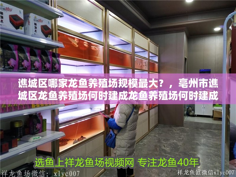 譙城區哪家龍魚養殖場規模最大？，亳州市譙城區龍魚養殖場何時建成龍魚養殖場何時建成