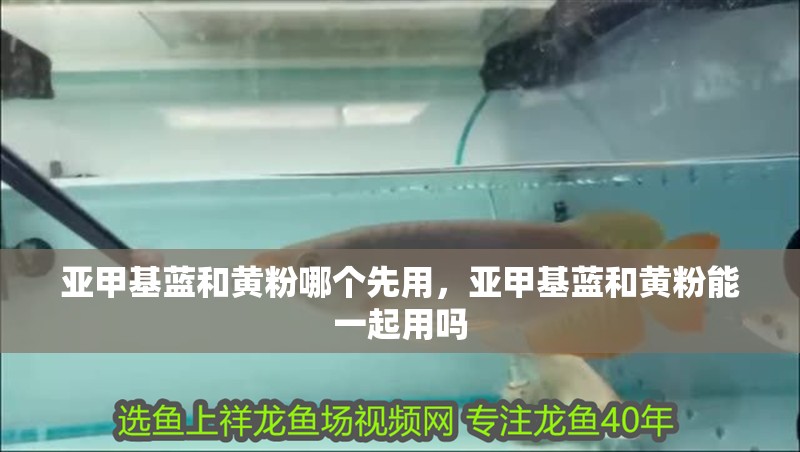 亞甲基藍(lán)和黃粉哪個(gè)先用，亞甲基藍(lán)和黃粉能一起用嗎