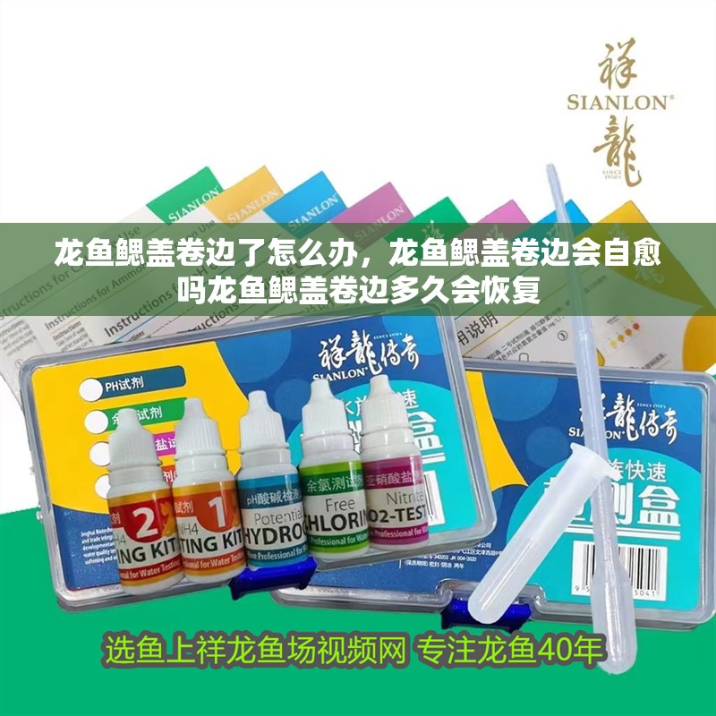 龍魚鰓蓋卷邊了怎么辦，龍魚鰓蓋卷邊會自愈嗎龍魚鰓蓋卷邊多久會恢復