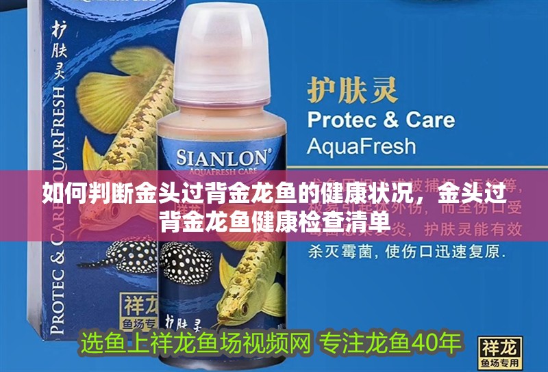如何判斷金頭過背金龍魚的健康狀況，金頭過背金龍魚健康檢查清單