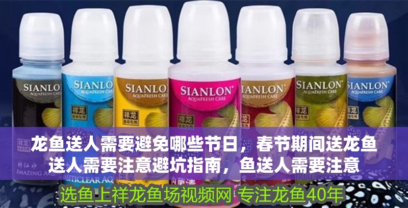 龍魚送人需要避免哪些節(jié)日，春節(jié)期間送龍魚送人需要注意避坑指南，魚送人需要注意