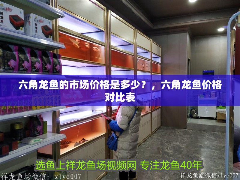 六角龍魚的市場價格是多少？，六角龍魚價格對比表