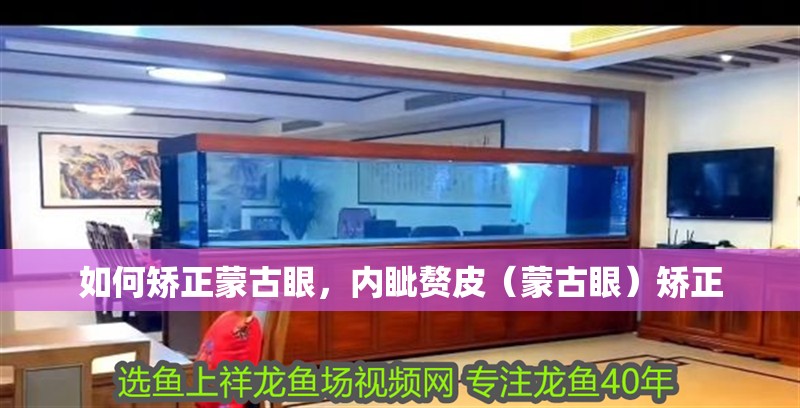 如何矯正蒙古眼，內眥贅皮（蒙古眼）矯正