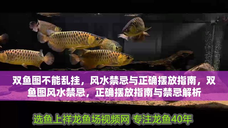 雙魚圖不能亂掛，風水禁忌與正確擺放指南，雙魚圖風水禁忌，正確擺放指南與禁忌解析