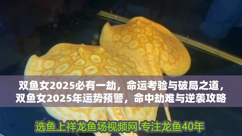 雙魚女2025必有一劫，命運(yùn)考驗(yàn)與破局之道，雙魚女2025年運(yùn)勢預(yù)警，命中劫難與逆襲攻略