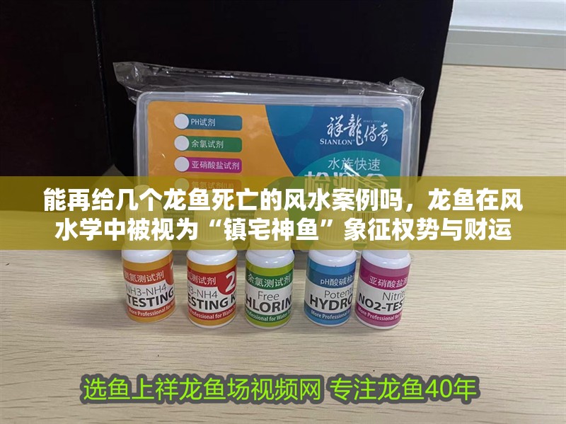 能再給幾個(gè)龍魚死亡的風(fēng)水案例嗎，龍魚在風(fēng)水學(xué)中被視為“鎮(zhèn)宅神魚”象征權(quán)勢(shì)與財(cái)運(yùn)