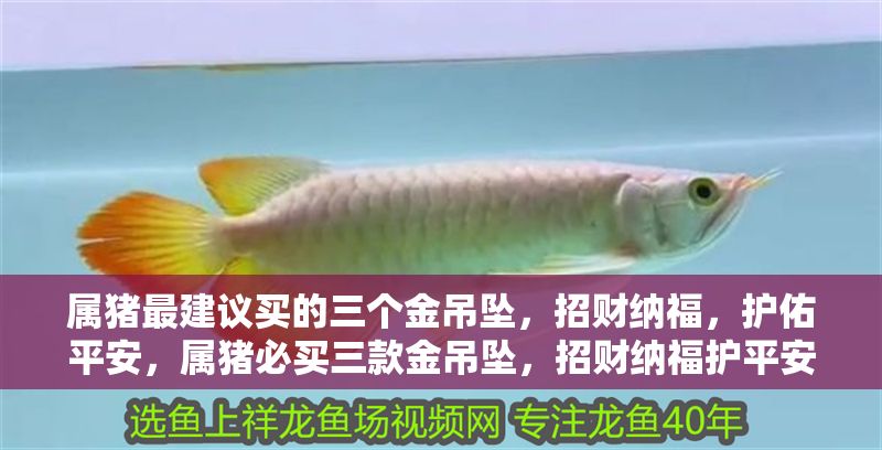 屬豬最建議買的三個金吊墜，招財納福，護佑平安，屬豬必買三款金吊墜，招財納福護平安