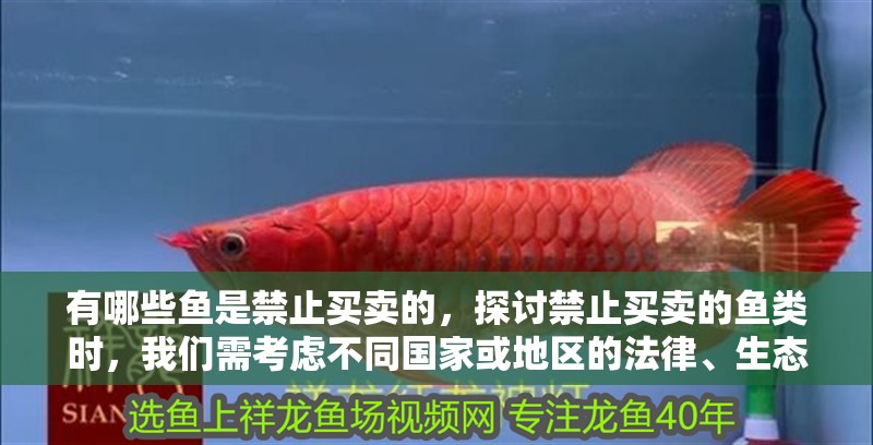 有哪些魚是禁止買賣的，探討禁止買賣的魚類時，我們需考慮不同國家或地區的法律、生態影響以及文化因素