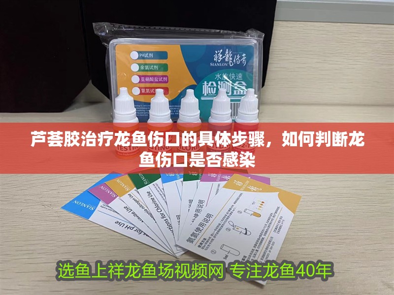 蘆薈膠治療龍魚傷口的具體步驟，如何判斷龍魚傷口是否感染