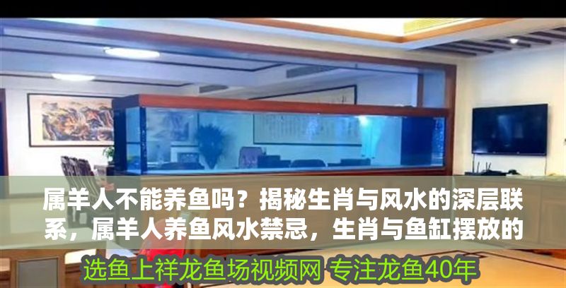 屬羊人不能養(yǎng)魚嗎？揭秘生肖與風(fēng)水的深層聯(lián)系，屬羊人養(yǎng)魚風(fēng)水禁忌，生肖與魚缸擺放的奧秘解析