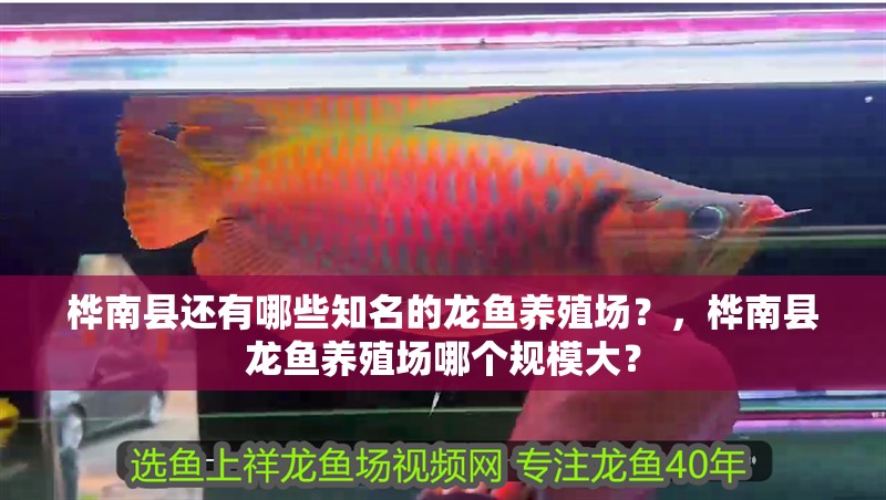 樺南縣還有哪些知名的龍魚養殖場？，樺南縣龍魚養殖場哪個規模大？