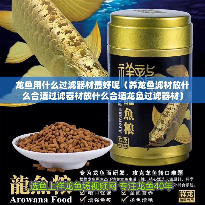 龍魚用什么過濾器材最好呢（養龍魚濾材放什么合適過濾器材放什么合適龍魚過濾器材）