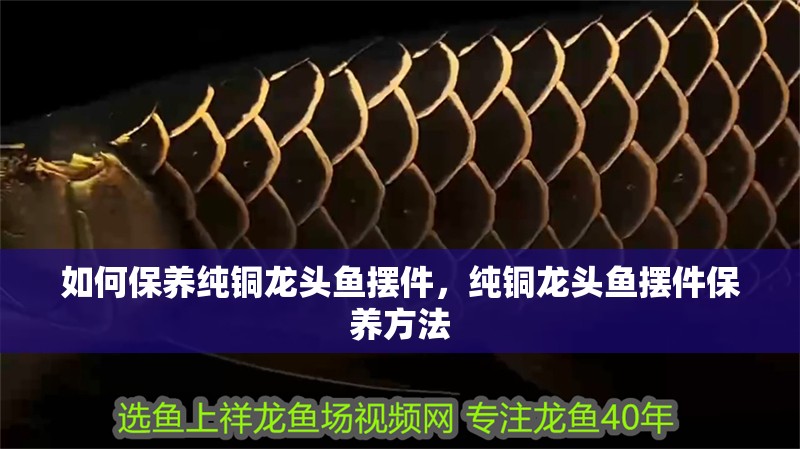 如何保養純銅龍頭魚擺件，純銅龍頭魚擺件保養方法