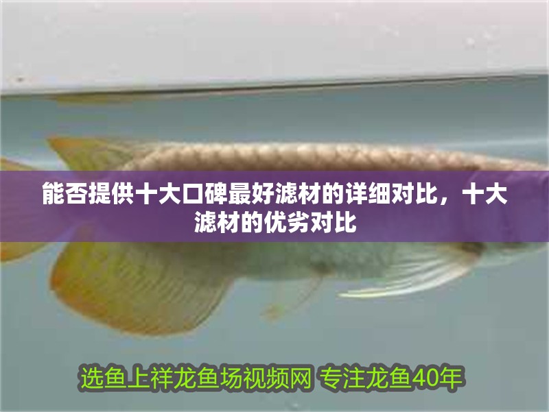 能否提供十大口碑最好濾材的詳細對比，十大濾材的優(yōu)劣對比
