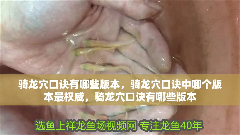 騎龍穴口訣有哪些版本，騎龍穴口訣中哪個版本最權威，騎龍穴口訣有哪些版本