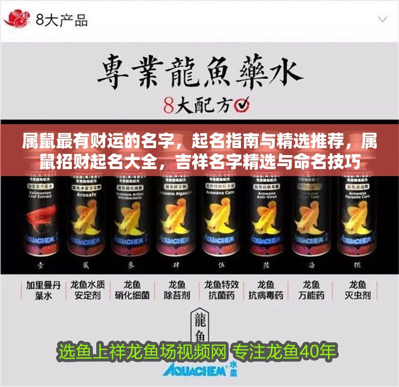 屬鼠最有財運的名字，起名指南與精選推薦，屬鼠招財起名大全，吉祥名字精選與命名技巧