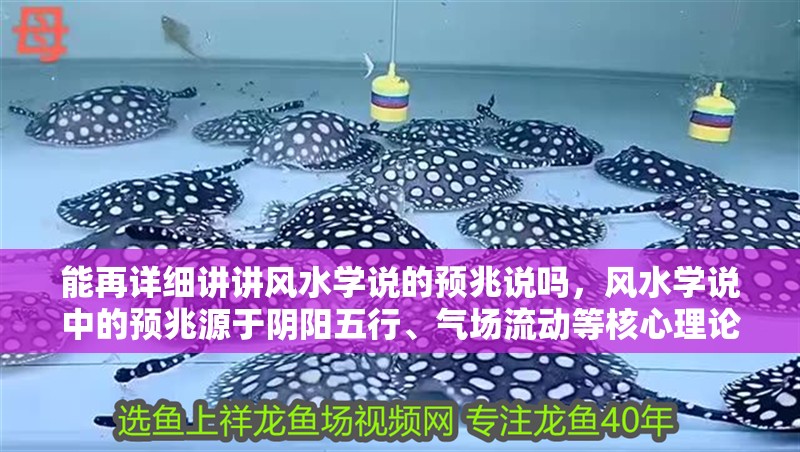 能再詳細講講風水學說的預兆說嗎，風水學說中的預兆源于陰陽五行、氣場流動等核心理論