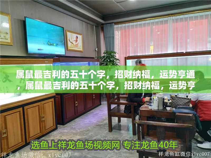 屬鼠最吉利的五十個字，招財納福，運勢亨通，屬鼠最吉利的五十個字，招財納福，運勢亨通！