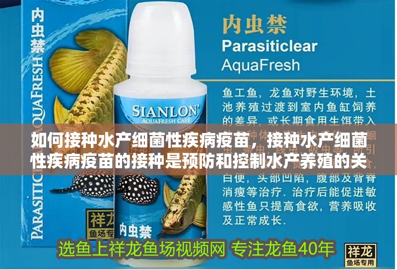 如何接種水產(chǎn)細(xì)菌性疾病疫苗，接種水產(chǎn)細(xì)菌性疾病疫苗的接種是預(yù)防和控制水產(chǎn)養(yǎng)殖的關(guān)鍵措施