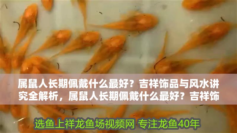 屬鼠人長期佩戴什么最好？吉祥飾品與風水講究全解析，屬鼠人長期佩戴什么最好？吉祥飾品與風水講究全解析
