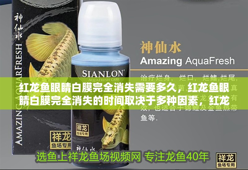 紅龍魚眼睛白膜完全消失需要多久，紅龍魚眼睛白膜完全消失的時(shí)間取決于多種因素，紅龍魚蒙眼治療方法