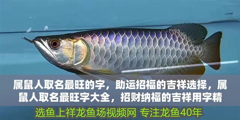 屬鼠人取名最旺的字，助運招福的吉祥選擇，屬鼠人取名最旺字大全，招財納福的吉祥用字精選