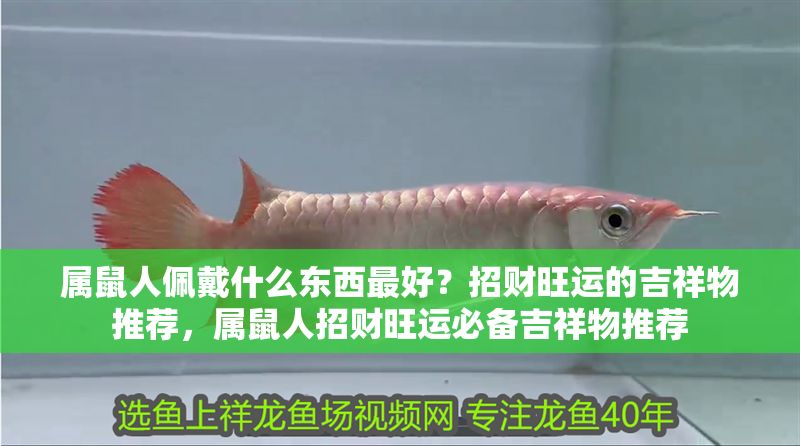 屬鼠人佩戴什么東西最好？招財旺運的吉祥物推薦，屬鼠人招財旺運必備吉祥物推薦