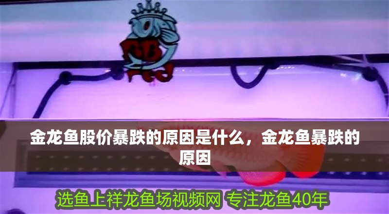 金龍魚(yú)股價(jià)暴跌的原因是什么，金龍魚(yú)暴跌的原因