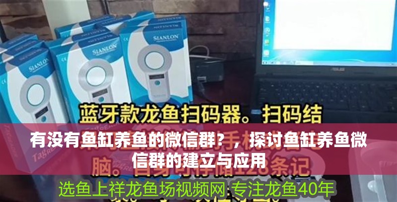 有沒有魚缸養魚的微信群？，探討魚缸養魚微信群的建立與應用