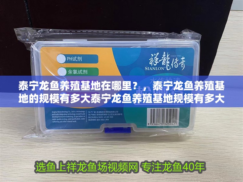 泰寧龍魚養殖基地在哪里？，泰寧龍魚養殖基地的規模有多大泰寧龍魚養殖基地規模有多大