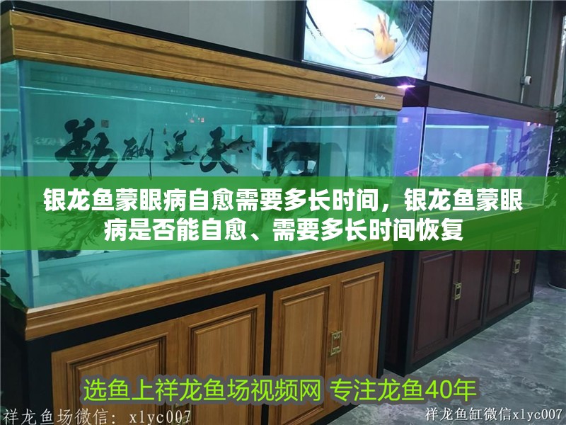 銀龍魚蒙眼病自愈需要多長時間，銀龍魚蒙眼病是否能自愈、需要多長時間恢復(fù)