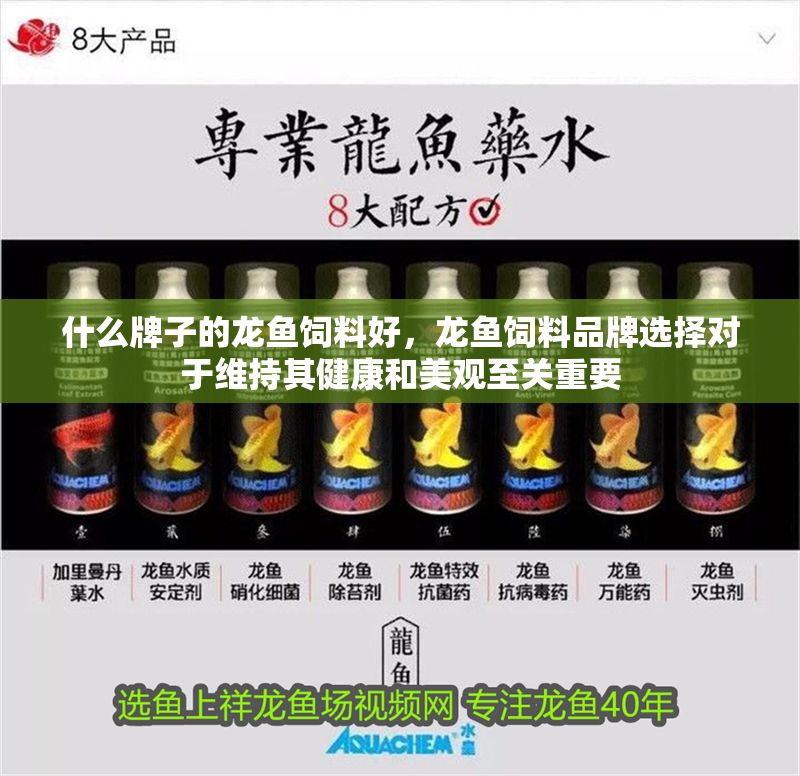 什么牌子的龍魚飼料好，龍魚飼料品牌選擇對于維持其健康和美觀至關(guān)重要
