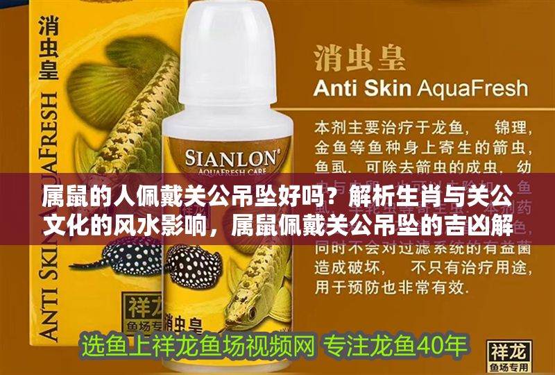 屬鼠的人佩戴關公吊墜好嗎？解析生肖與關公文化的風水影響，屬鼠佩戴關公吊墜的吉兇解析，生肖與風水禁忌全揭秘 屬鼠的人佩戴關公吊墜好嗎？解析生肖與關公文化的風水影響，屬鼠佩戴關公吊墜的吉兇解析，生肖與風水禁忌全揭秘 龍魚百科 第1張