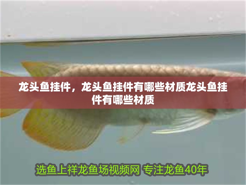 龍頭魚掛件，龍頭魚掛件有哪些材質(zhì)龍頭魚掛件有哪些材質(zhì)