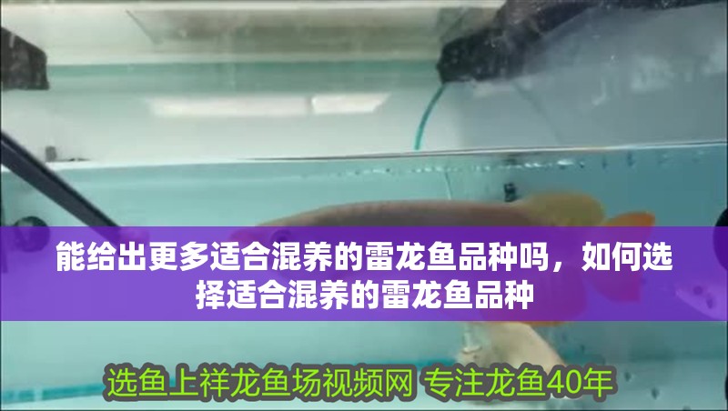 能給出更多適合混養(yǎng)的雷龍魚品種嗎，如何選擇適合混養(yǎng)的雷龍魚品種
