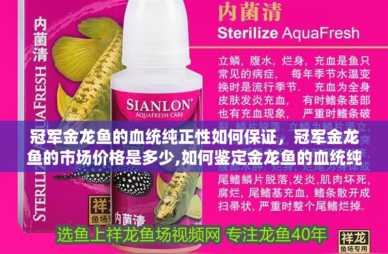 冠軍金龍魚的血統純正性如何保證，冠軍金龍魚的市場價格是多少,如何鑒定金龍魚的血統純正性