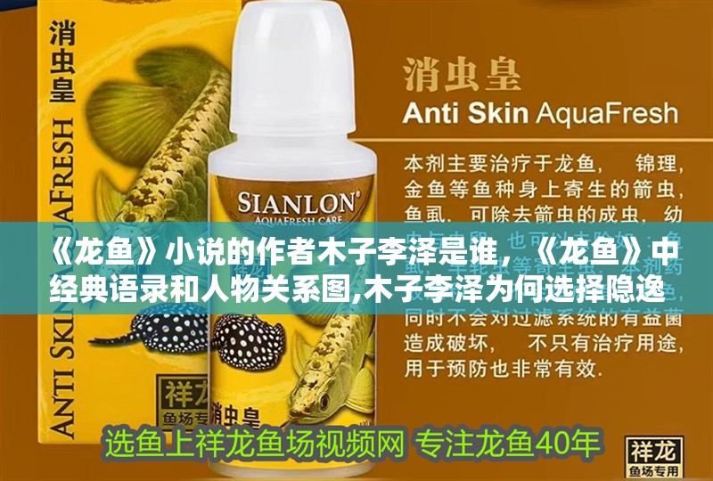 《龍魚》小說的作者木子李澤是誰，《龍魚》中經典語錄和人物關系圖,木子李澤為何選擇隱逸網絡