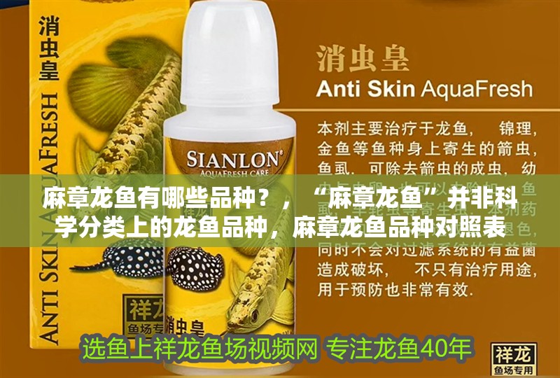 <strong><mark>麻章</mark></strong>龍魚有哪些品種？，“<strong><mark>麻章</mark></strong>龍魚”并非科學(xué)分類上的龍魚品種，<strong><mark>麻章</mark></strong>龍魚品種對照表