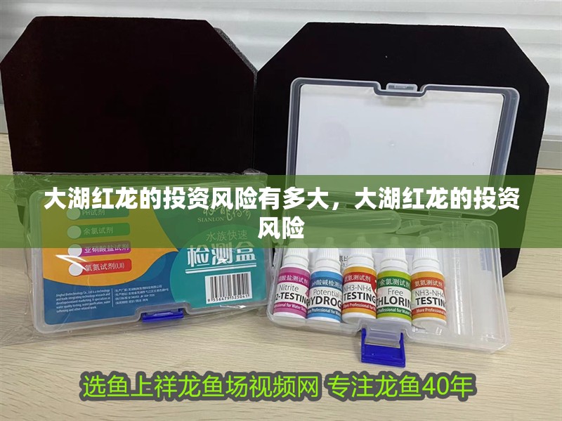 大湖紅龍的投資風險有多大，大湖紅龍的投資風險