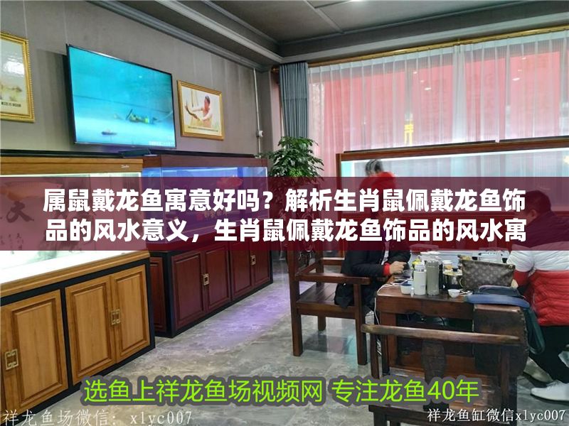 屬鼠戴龍魚寓意好嗎？解析生肖鼠佩戴龍魚飾品的風水意義，生肖鼠佩戴龍魚飾品的風水寓意解析