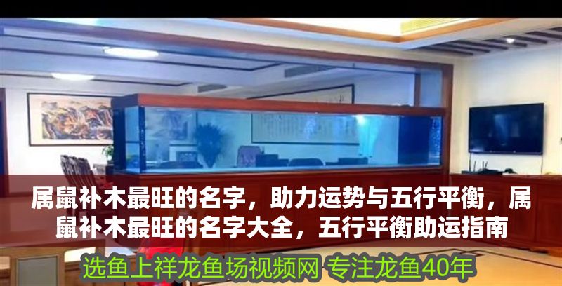 屬鼠補木最旺的名字，助力運勢與五行平衡，屬鼠補木最旺的名字大全，五行平衡助運指南 屬鼠補木最旺的名字，助力運勢與五行平衡，屬鼠補木最旺的名字大全，五行平衡助運指南 龍魚百科 第1張