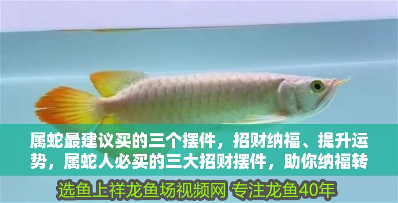 屬蛇最建議買的三個(gè)擺件，招財(cái)納福、提升運(yùn)勢(shì)，屬蛇人必買的三大招財(cái)擺件，助你納福轉(zhuǎn)運(yùn)！