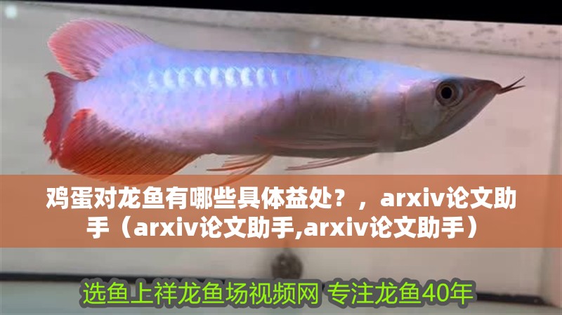 雞蛋對龍魚有哪些具體益處？，arxiv論文助手（arxiv論文助手,arxiv論文助手）