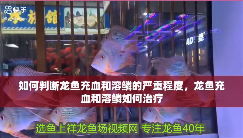 如何判斷龍魚充血和溶鱗的嚴重程度，龍魚充血和溶鱗如何治療