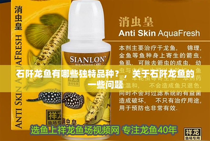 石阡龍魚有哪些獨特品種？，關于石阡龍魚的一些問題