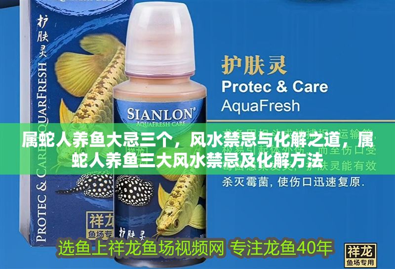 屬蛇人養魚大忌三個,風水禁忌與化解之道,屬蛇人養魚三大風水禁忌及化解方法 龍魚百科 第1張 屬蛇人養魚大忌三個,風水禁忌與化解之道,屬蛇人養魚三大風水禁忌及化解方法 屬蛇人養魚大忌三個,風水禁忌與化解之道,屬蛇人養魚三大風水禁忌及化解方法 龍魚百科 第1張